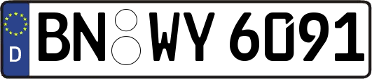 BN-WY6091