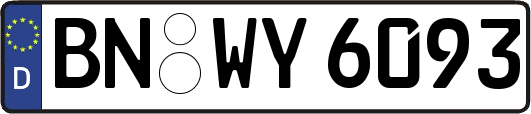 BN-WY6093