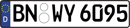 BN-WY6095