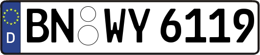 BN-WY6119