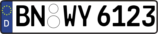 BN-WY6123