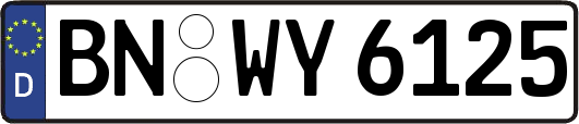 BN-WY6125