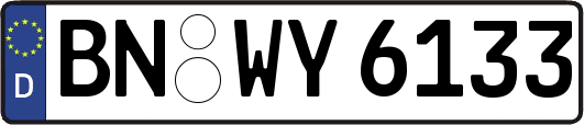 BN-WY6133