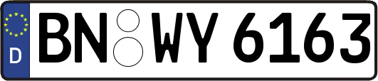 BN-WY6163