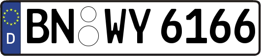 BN-WY6166