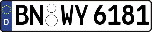 BN-WY6181