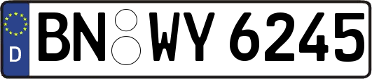 BN-WY6245