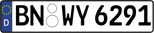 BN-WY6291
