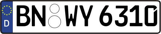 BN-WY6310