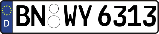 BN-WY6313