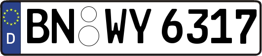BN-WY6317