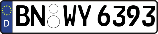 BN-WY6393