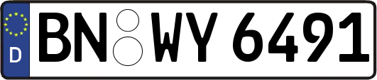 BN-WY6491