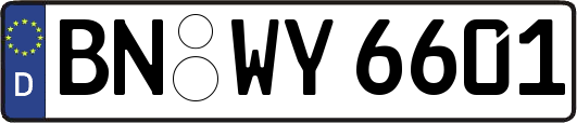 BN-WY6601