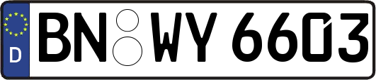 BN-WY6603