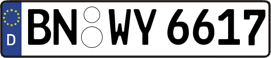 BN-WY6617