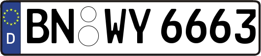 BN-WY6663