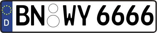 BN-WY6666