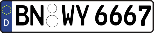BN-WY6667