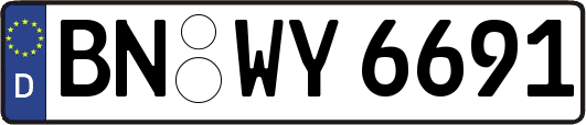 BN-WY6691