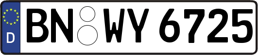 BN-WY6725