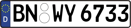 BN-WY6733
