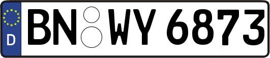 BN-WY6873