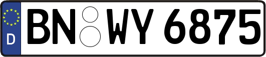 BN-WY6875
