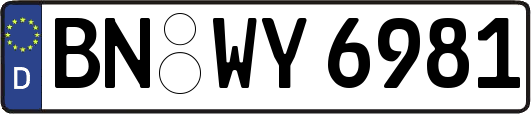 BN-WY6981