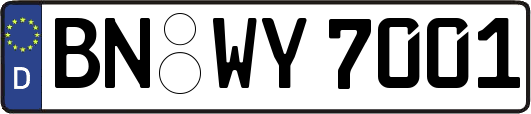 BN-WY7001