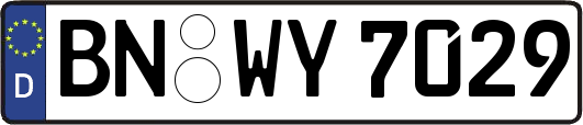 BN-WY7029