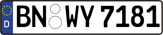 BN-WY7181