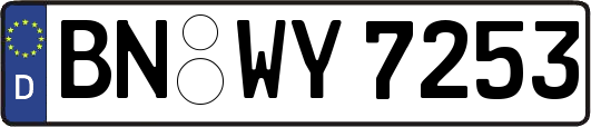 BN-WY7253