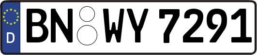 BN-WY7291