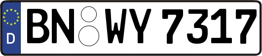 BN-WY7317