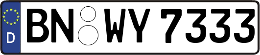 BN-WY7333