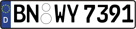 BN-WY7391