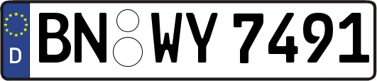 BN-WY7491
