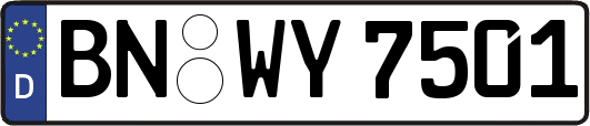 BN-WY7501