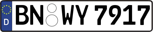 BN-WY7917