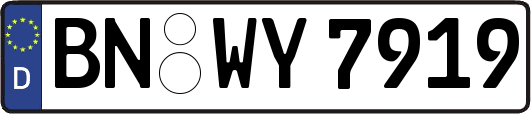 BN-WY7919