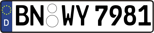 BN-WY7981