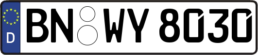 BN-WY8030