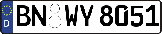 BN-WY8051
