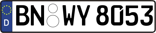 BN-WY8053