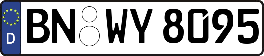 BN-WY8095
