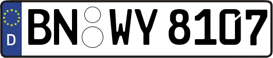 BN-WY8107