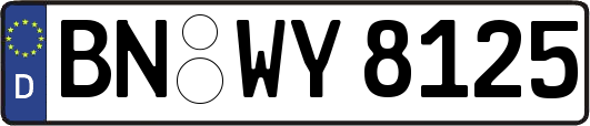 BN-WY8125