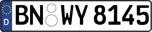 BN-WY8145