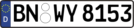 BN-WY8153